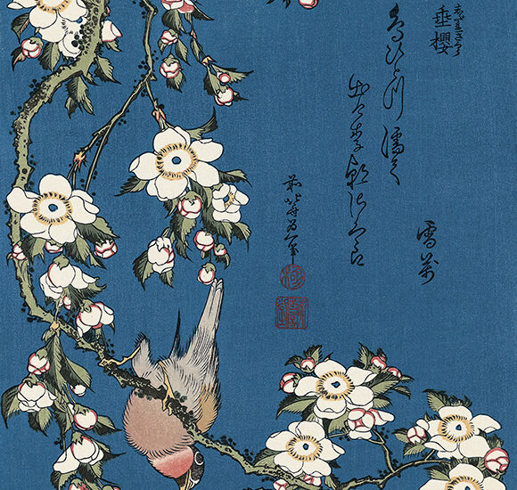 Katsushika Hokusai, Cardellino e ciliegio piangente